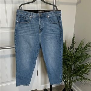 Torrid Light Blue Denim Jeans. Feels the Fit version